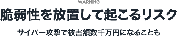 WARNING 脆弱性を放置して起こるリスク サイバー攻撃で被害額数千万円になることも