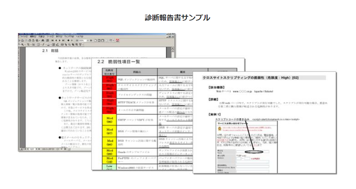 セキュリティ診断サービス【株式会社アルファネット